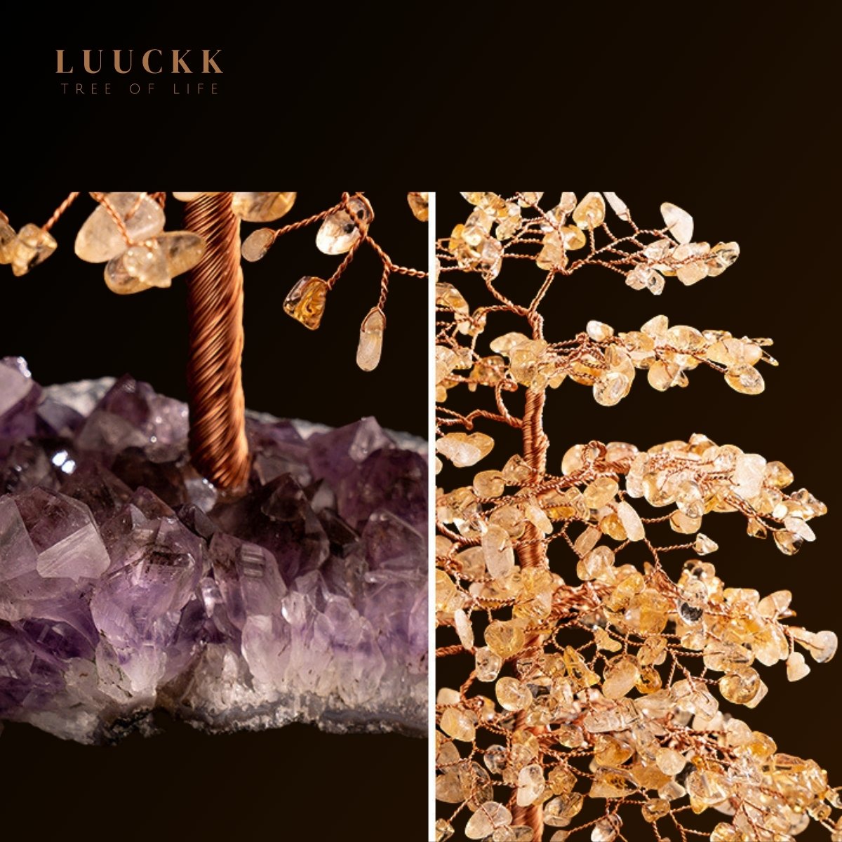 Symbiose - Lebensbaum aus Citrin mit Amethyst-Geode