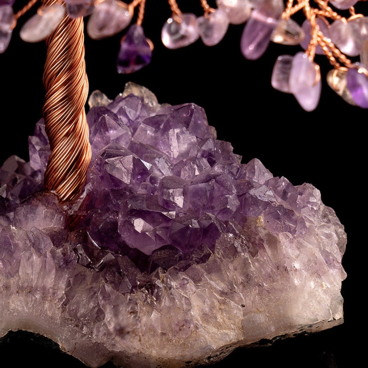 Symbiose - Amethyst Tree of Life with Amethyst Geode