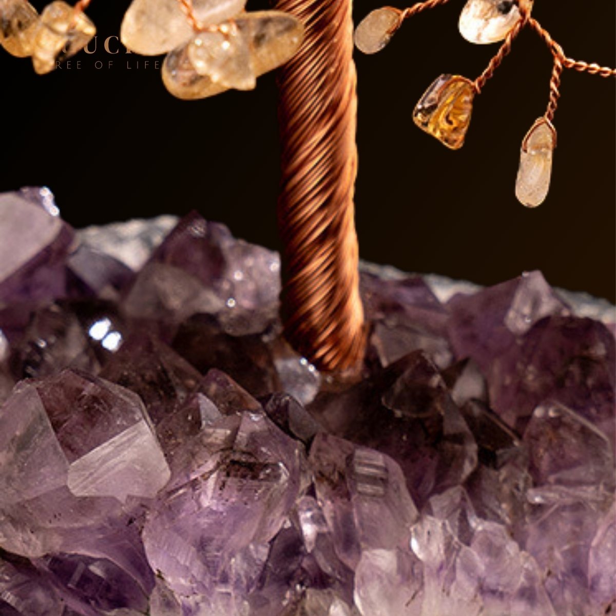 Symbiose - Tree of Life in Citrine with Amethyst Geode